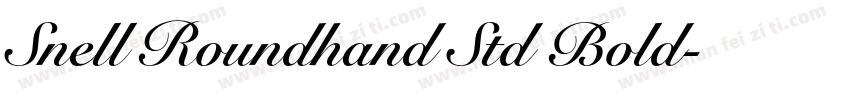 Snell Roundhand Std Bold字体转换
